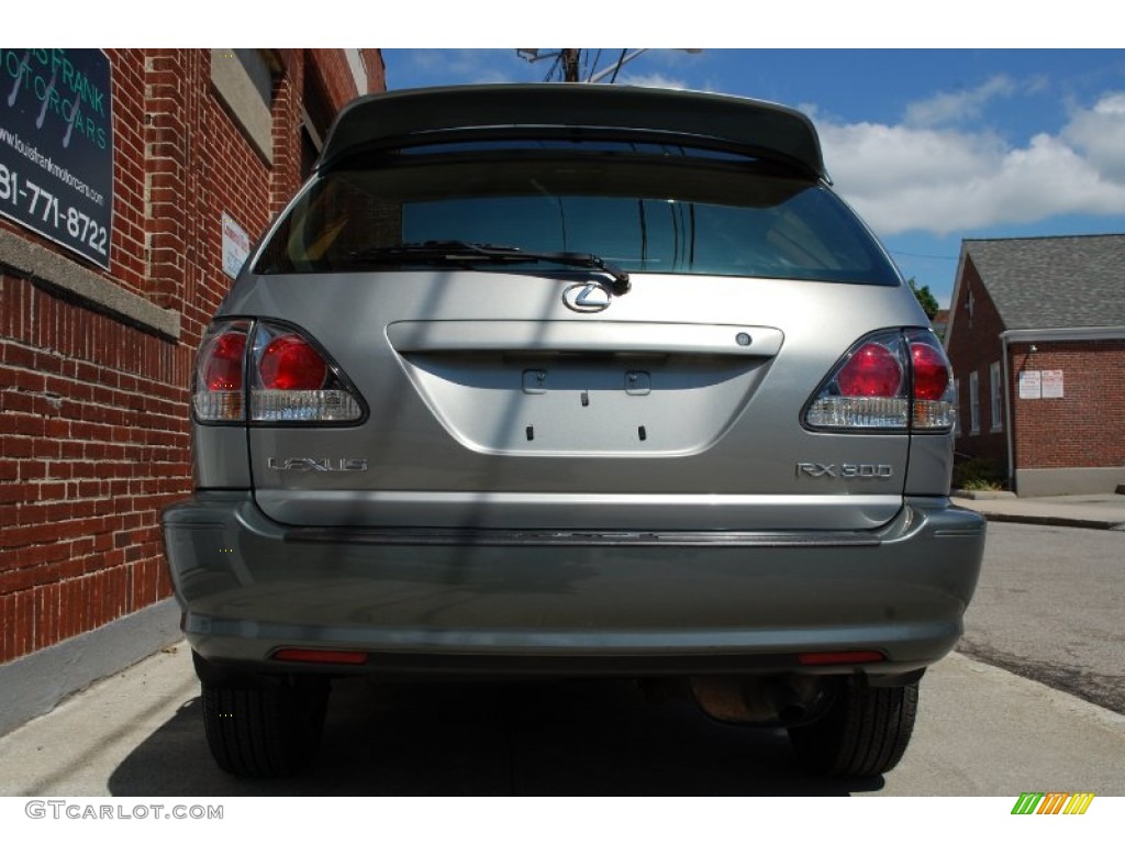 2001 RX 300 AWD - Mineral Green Metallic / Ivory photo #8