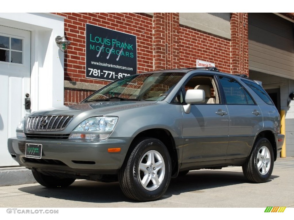 2001 RX 300 AWD - Mineral Green Metallic / Ivory photo #9