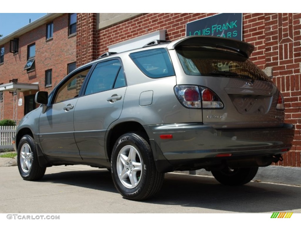 2001 RX 300 AWD - Mineral Green Metallic / Ivory photo #11