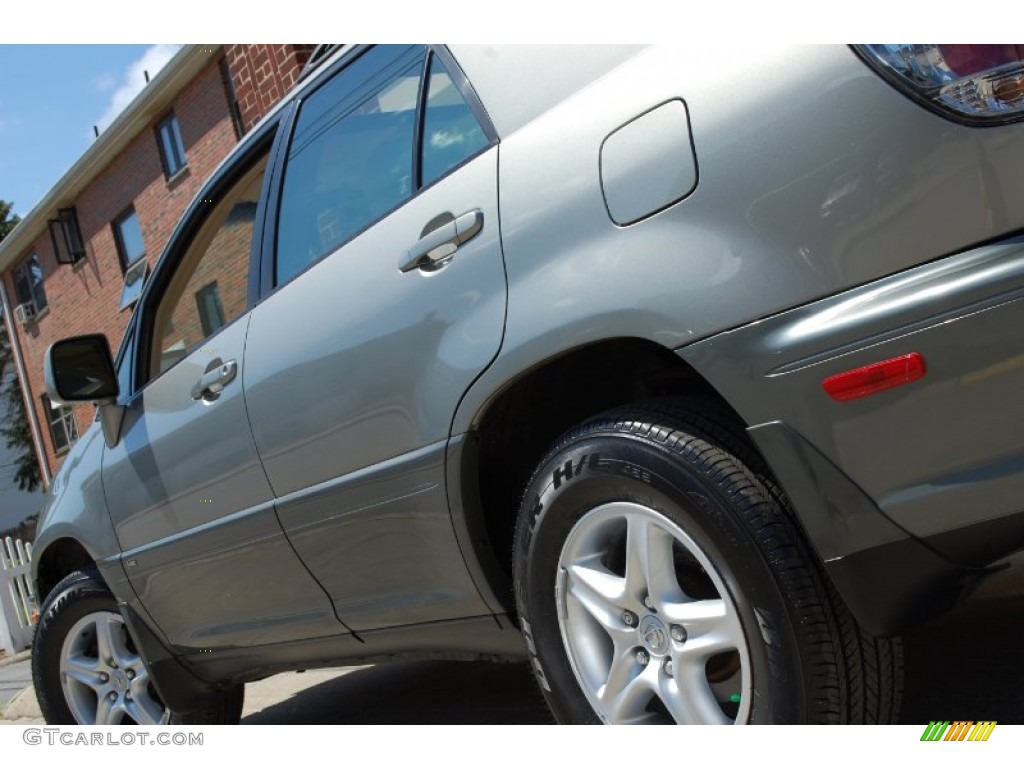 2001 RX 300 AWD - Mineral Green Metallic / Ivory photo #14