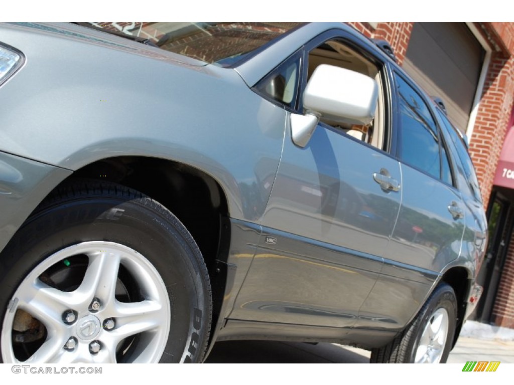 2001 RX 300 AWD - Mineral Green Metallic / Ivory photo #15