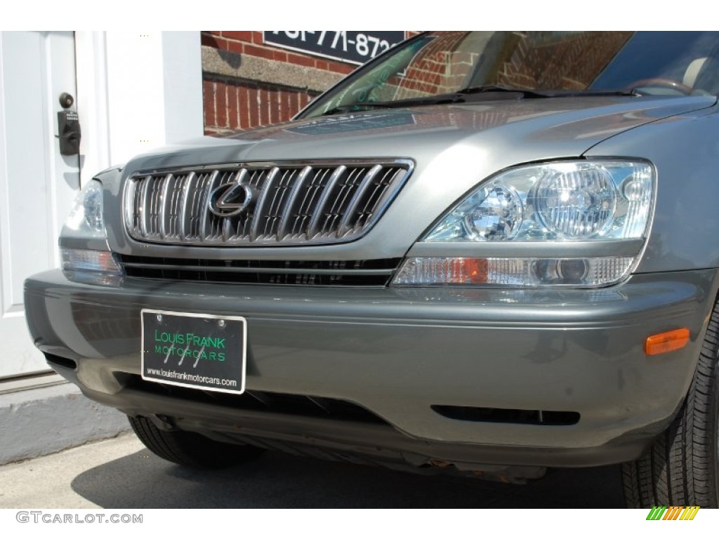 2001 RX 300 AWD - Mineral Green Metallic / Ivory photo #17
