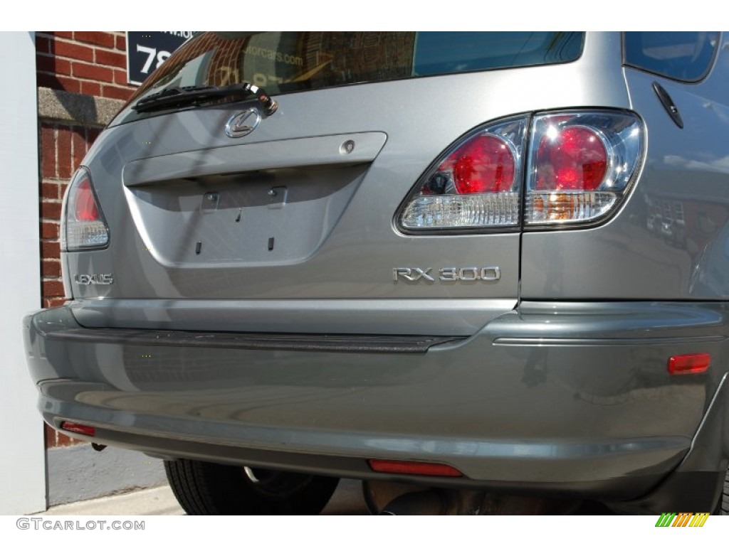 2001 RX 300 AWD - Mineral Green Metallic / Ivory photo #19