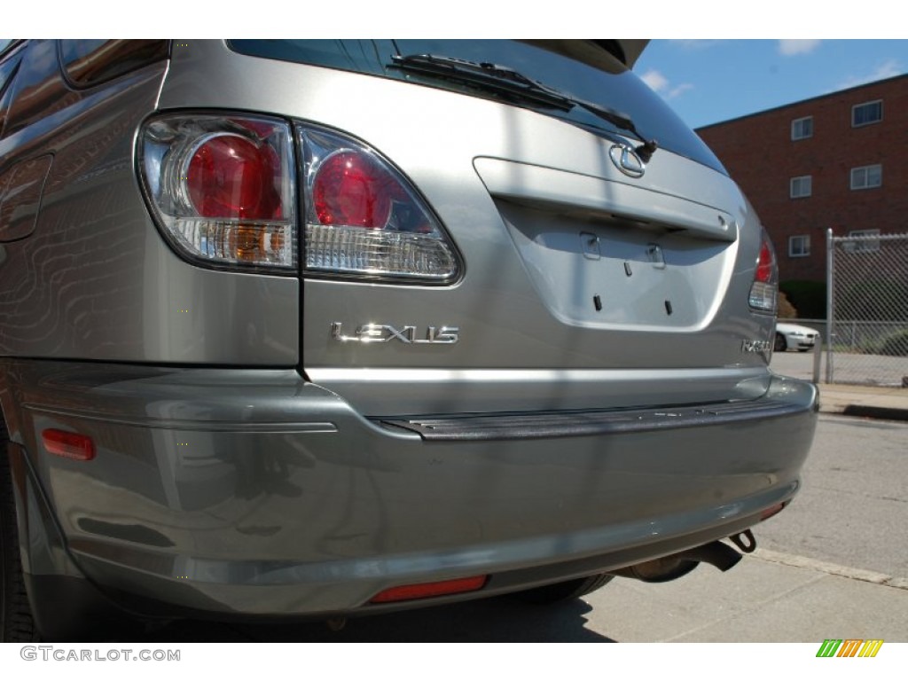 2001 RX 300 AWD - Mineral Green Metallic / Ivory photo #20