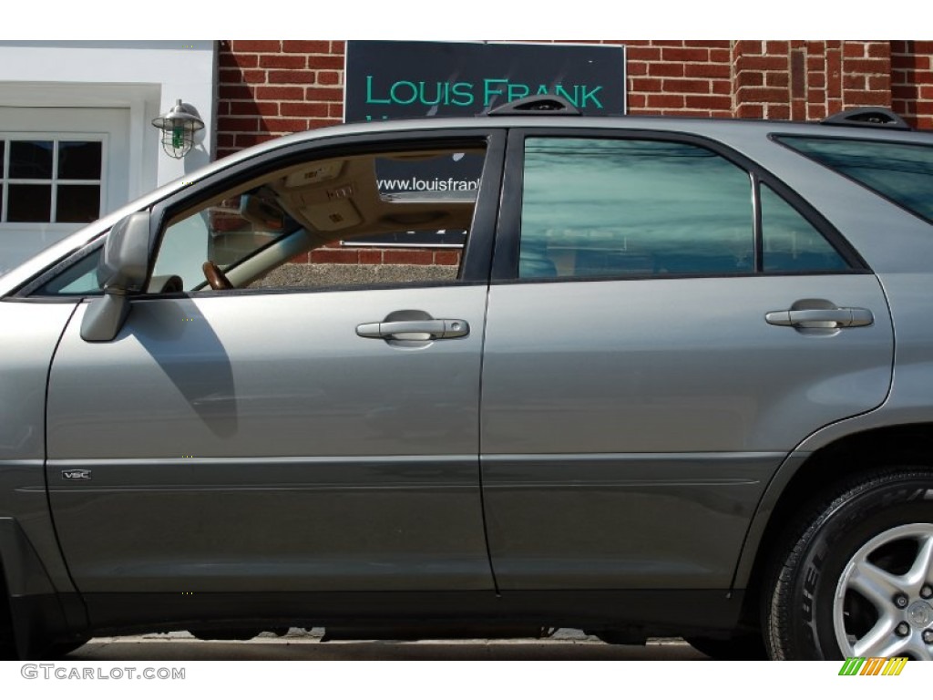 2001 RX 300 AWD - Mineral Green Metallic / Ivory photo #23