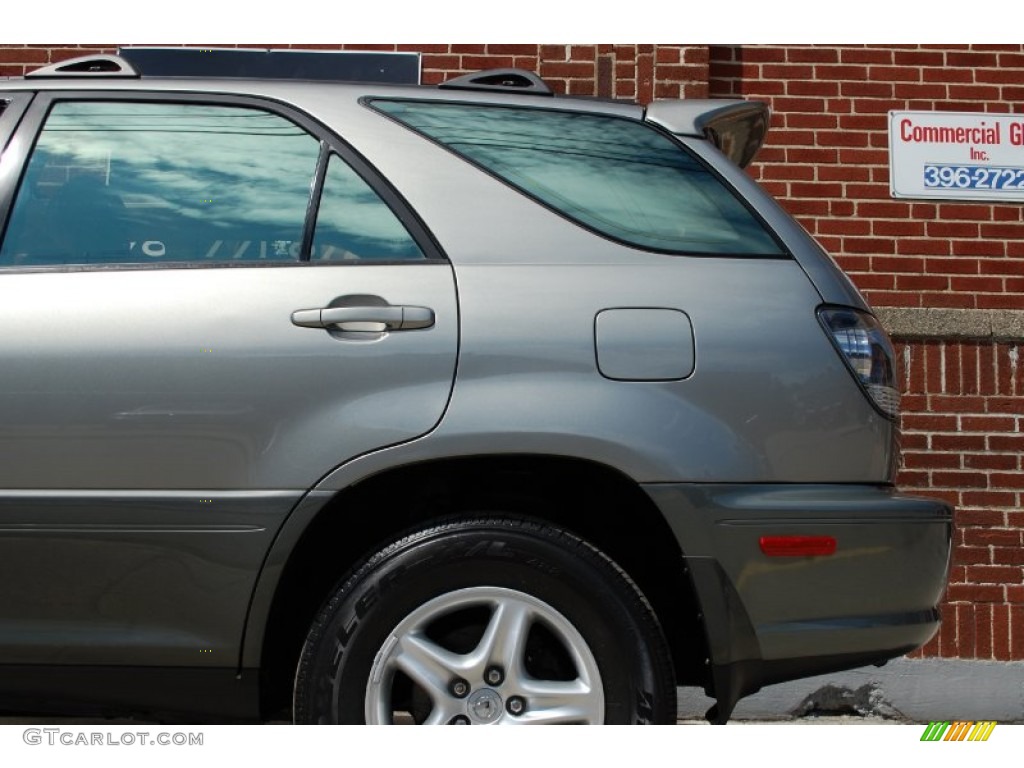 2001 RX 300 AWD - Mineral Green Metallic / Ivory photo #25