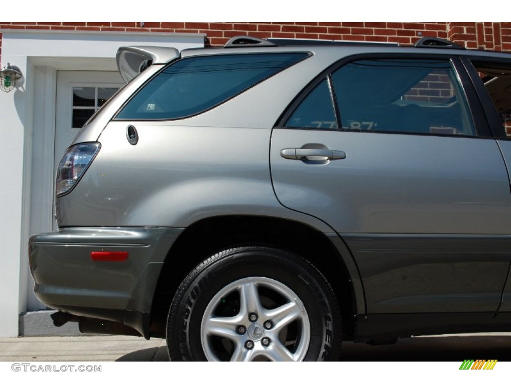 2001 RX 300 AWD - Mineral Green Metallic / Ivory photo #26