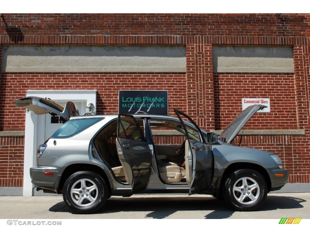 2001 RX 300 AWD - Mineral Green Metallic / Ivory photo #28