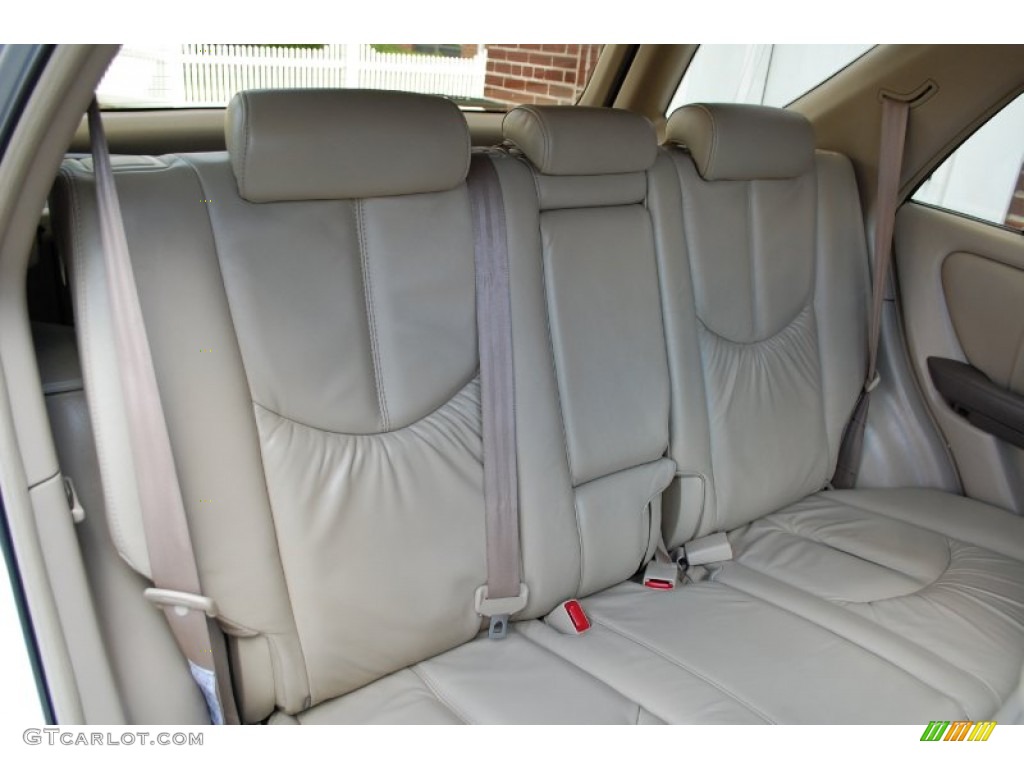 2001 RX 300 AWD - Mineral Green Metallic / Ivory photo #41