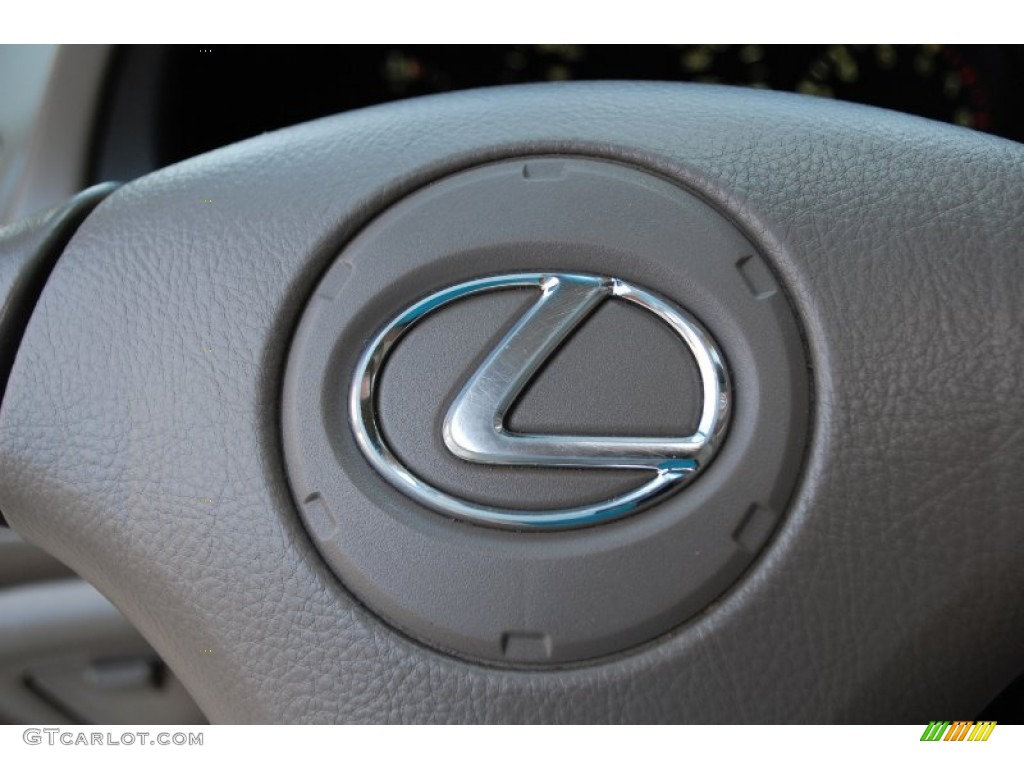 2001 RX 300 AWD - Mineral Green Metallic / Ivory photo #61