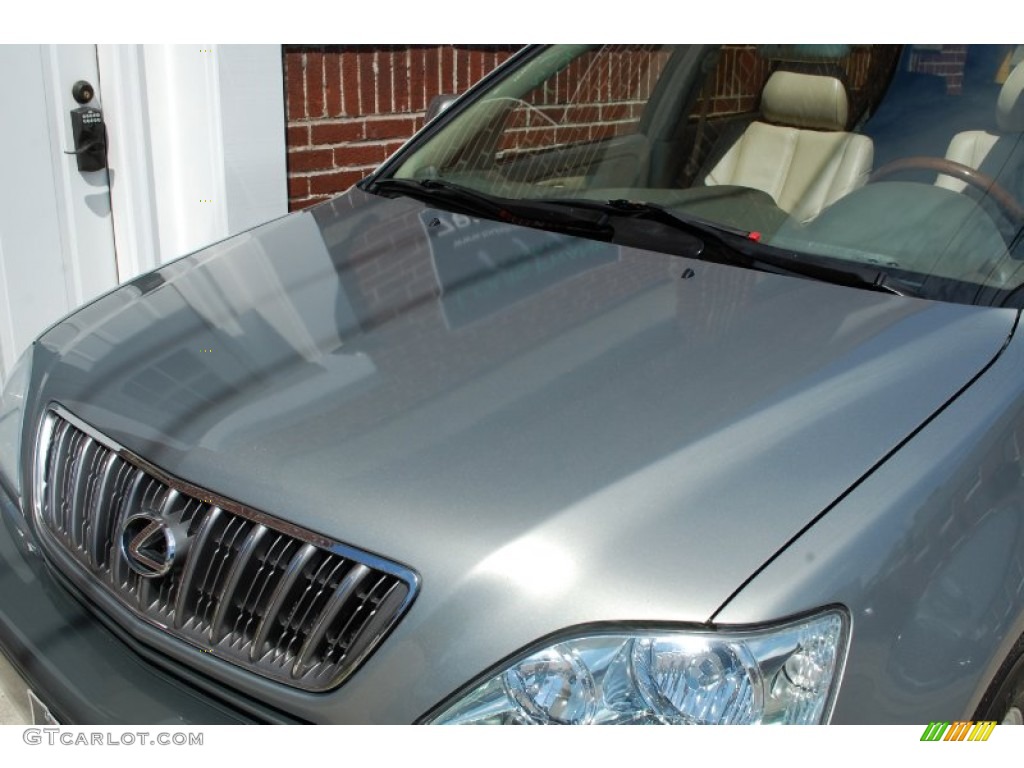 2001 RX 300 AWD - Mineral Green Metallic / Ivory photo #72