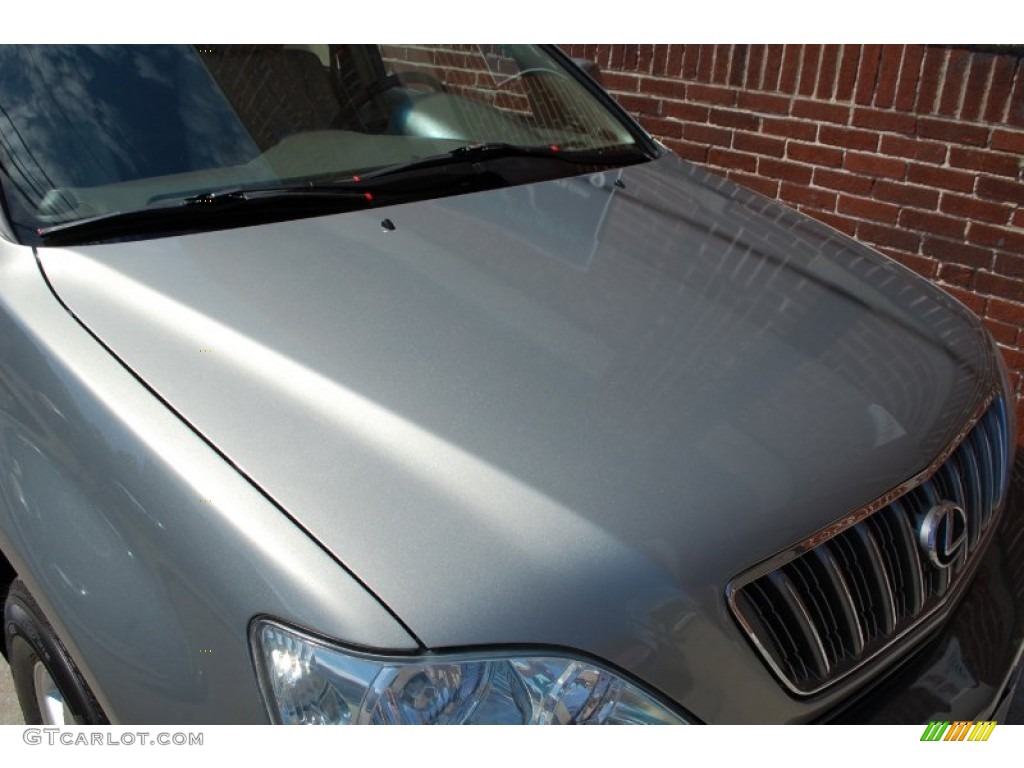 2001 RX 300 AWD - Mineral Green Metallic / Ivory photo #73