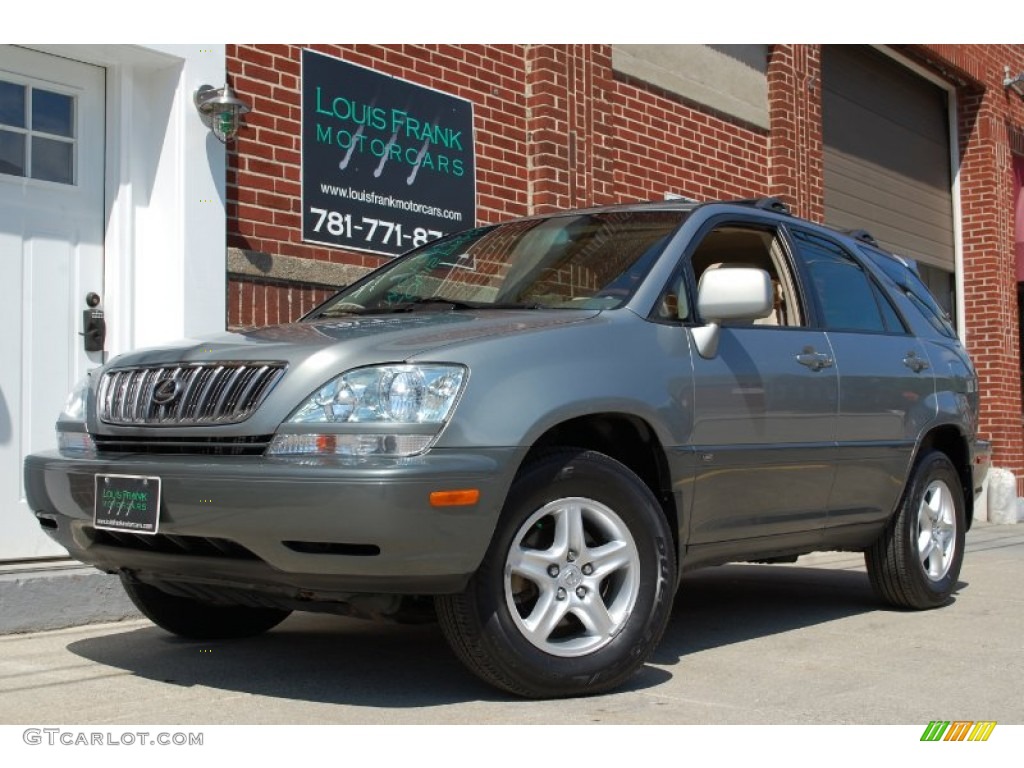 2001 RX 300 AWD - Mineral Green Metallic / Ivory photo #109