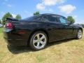 Pitch Black - Charger SE Photo No. 3