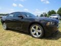 Pitch Black - Charger SE Photo No. 4