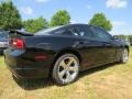Pitch Black - Charger SE Photo No. 3