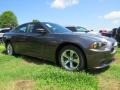 2014 Granite Crystal Metallic Dodge Charger SE  photo #4