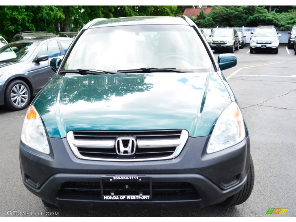 2004 CR-V EX 4WD - Clover Green Pearl / Saddle photo #2