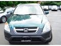 2004 Clover Green Pearl Honda CR-V EX 4WD  photo #2