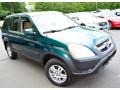 2004 Clover Green Pearl Honda CR-V EX 4WD  photo #3