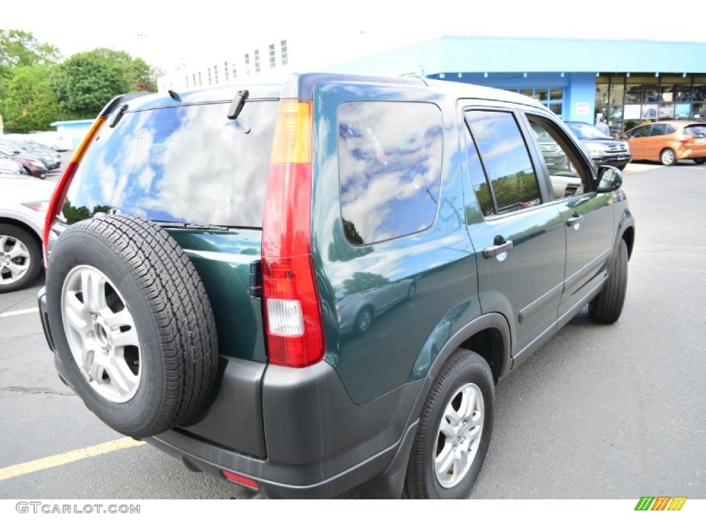 2004 CR-V EX 4WD - Clover Green Pearl / Saddle photo #6