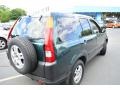 2004 Clover Green Pearl Honda CR-V EX 4WD  photo #6