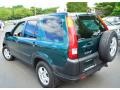 2004 Clover Green Pearl Honda CR-V EX 4WD  photo #10