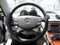 Brilliant Silver Metallic - SL 500 Roadster Photo No. 13
