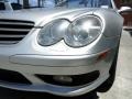 Brilliant Silver Metallic - SL 500 Roadster Photo No. 23