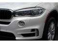 Alpine White - X5 xDrive35i Photo No. 31