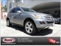 Palladium Silver Metallic - ML 350 Photo No. 1