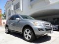Palladium Silver Metallic - ML 350 Photo No. 25