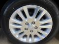 2010 Blizzard Pearl Tricoat Toyota Sienna XLE  photo #13