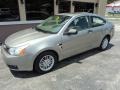 2008 Vapor Silver Metallic Ford Focus SE Coupe  photo #1