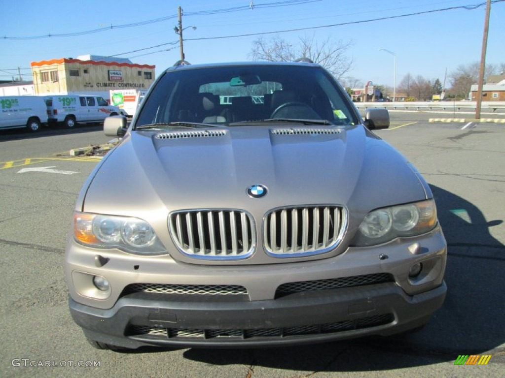 2004 X5 4.4i - Kalahari Beige Metallic / Black photo #12