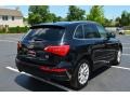 2009 Brilliant Black Audi Q5 3.2 Premium quattro  photo #7