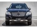 Black - ML 350 4Matic Photo No. 2
