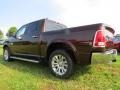 Western Brown - 1500 Laramie Longhorn Crew Cab Photo No. 2