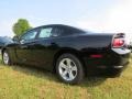 Pitch Black - Charger SE Photo No. 2