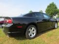 Pitch Black - Charger SE Photo No. 3