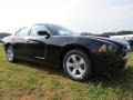 Pitch Black - Charger SE Photo No. 4