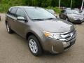 2014 Mineral Gray Ford Edge SEL AWD  photo #2