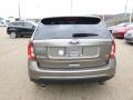 2014 Mineral Gray Ford Edge SEL AWD  photo #7