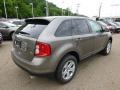 2014 Mineral Gray Ford Edge SEL AWD  photo #8