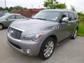 Platinum Graphite - QX 56 4WD Photo No. 3
