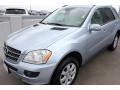 Alpine Rain Metallic - ML 350 4Matic Photo No. 3