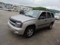 Silverstone Metallic - TrailBlazer LS 4x4 Photo No. 3