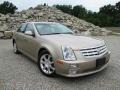 Sand Storm 2005 Cadillac STS V6