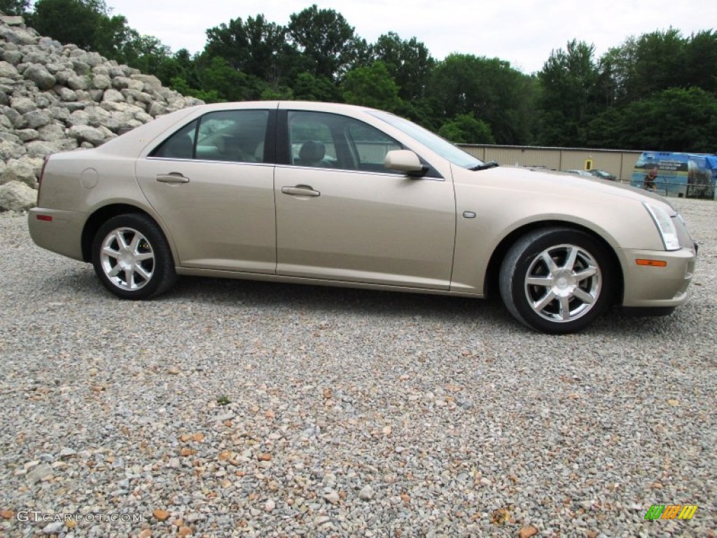 Sand Storm 2005 Cadillac STS V6 Exterior Photo #94319129