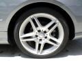 Palladium Silver Metallic - E 550 Cabriolet Photo No. 24